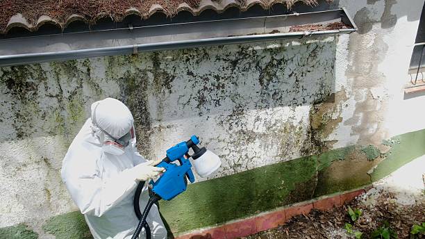 Trusted Commercial Mold Remediation service in Clarksville, VA - Cheap Mold Removal